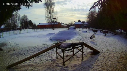 Webcam - Kozubszczyzna