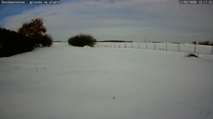Webcam - Kozubszczyzna