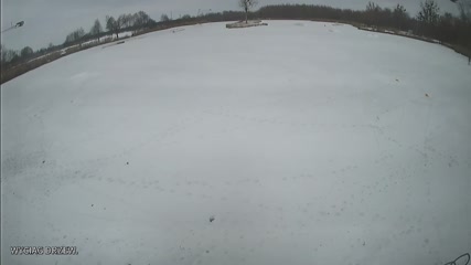 Webcam - Brwinów